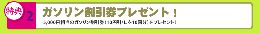 手洗い洗車無料券